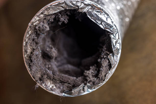 Best Industrial Air Duct Cleaning in USA